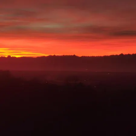 Avie Honey & Breakfast