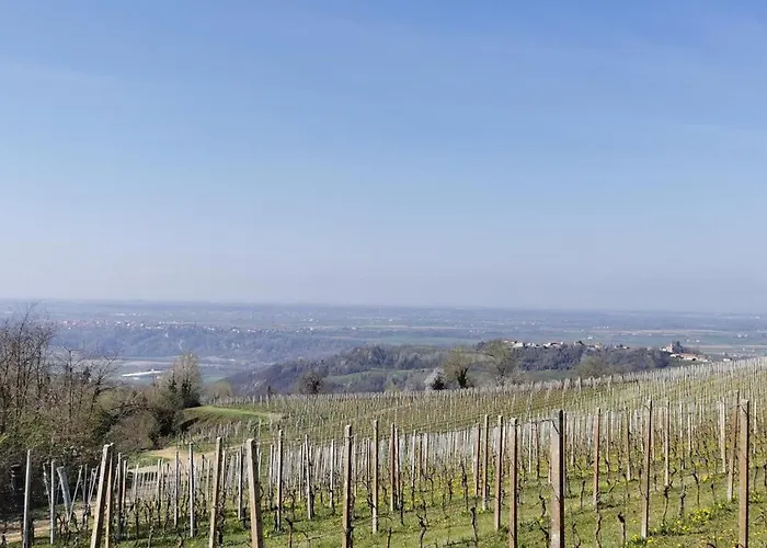 Couette-café Avie Honey & Breakfast 3*